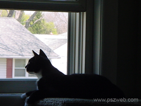 DSC00050