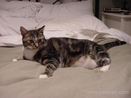 DSC00095