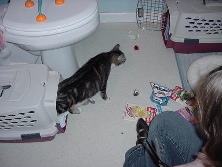 shelby_exploring