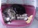 sleeping_with_toys