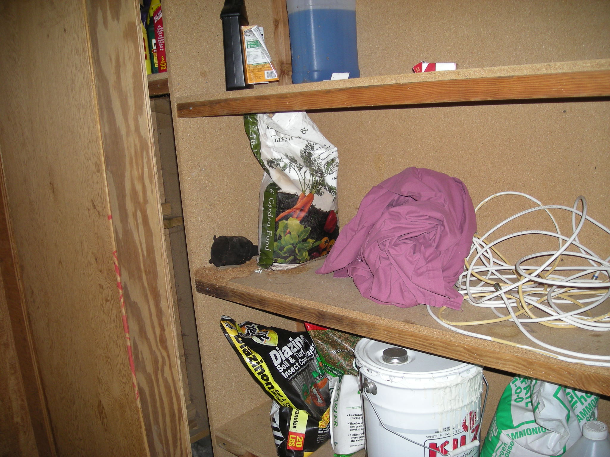 DSCN6551.JPG