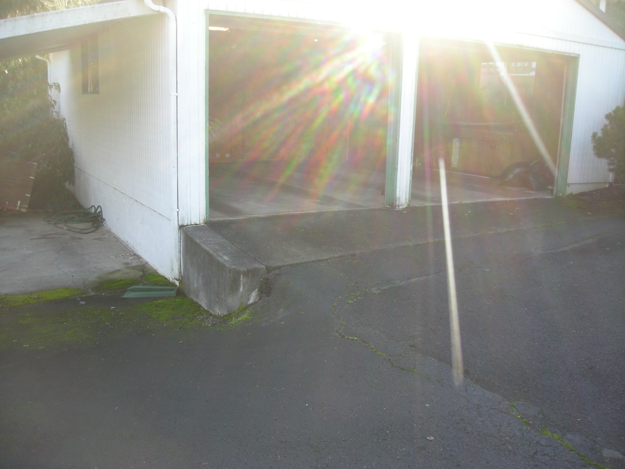 DSCN6555.JPG