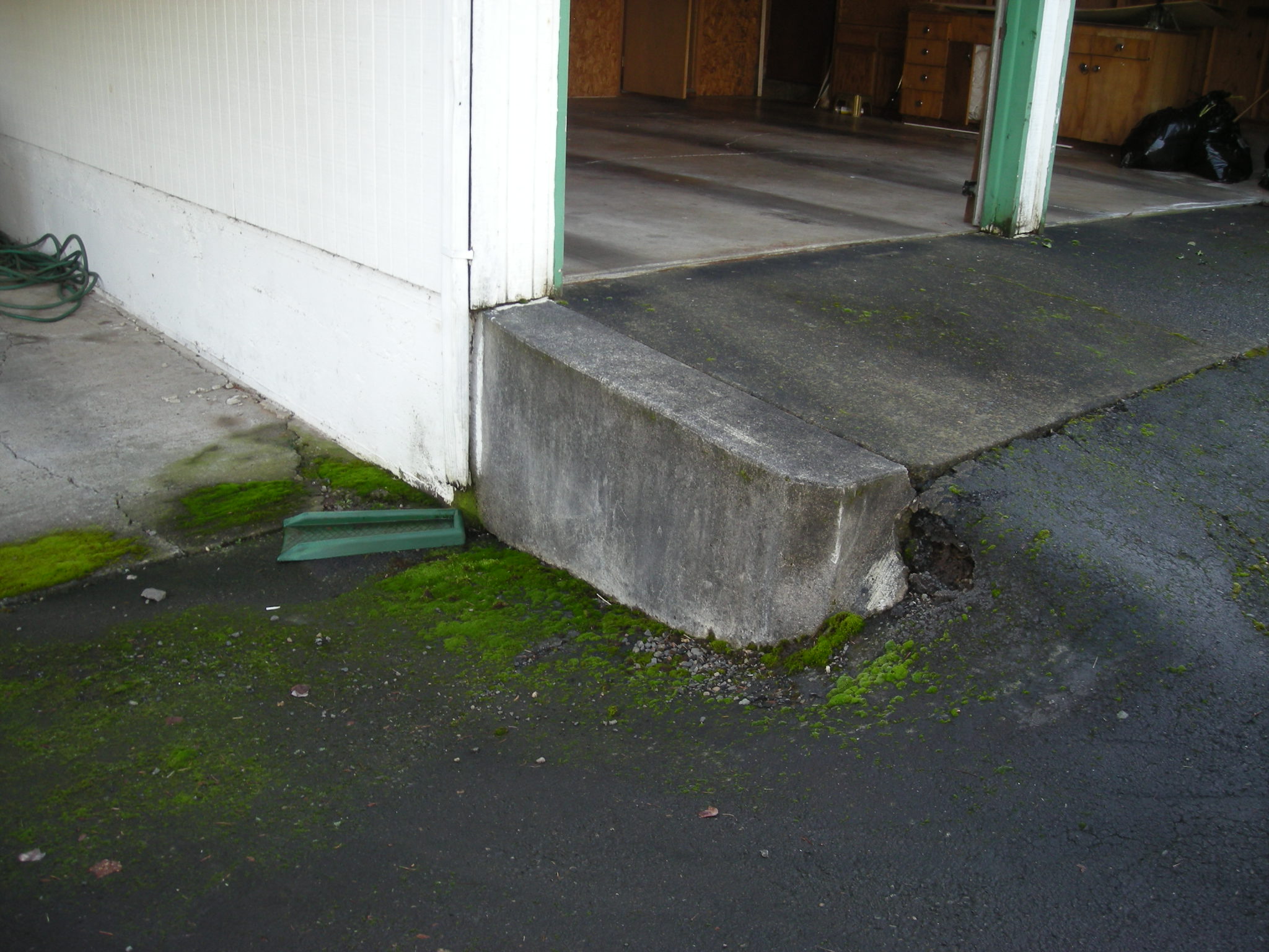 DSCN6558.JPG