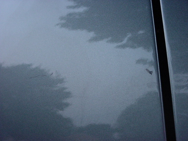 Passenger side rear door