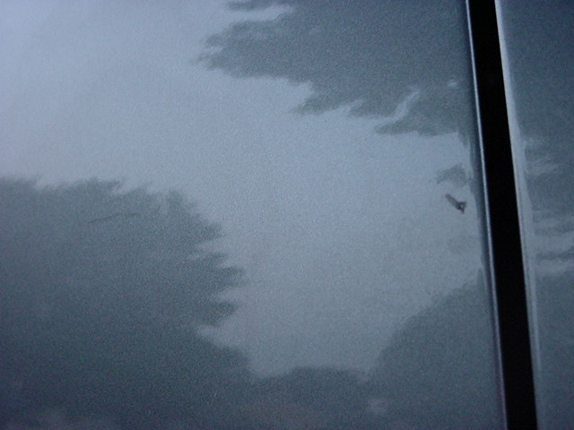 Passenger side rear door