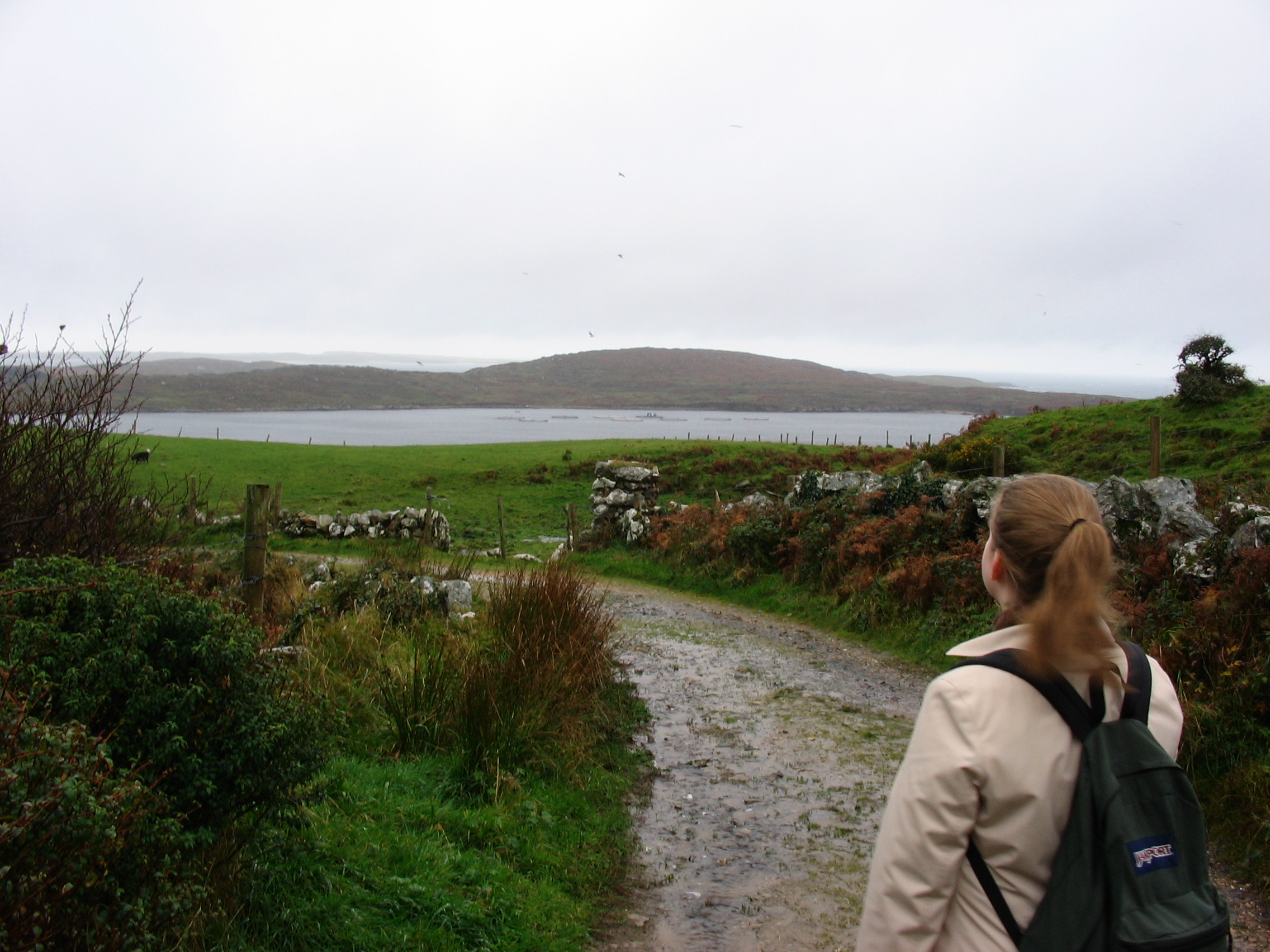 Clifden Castle