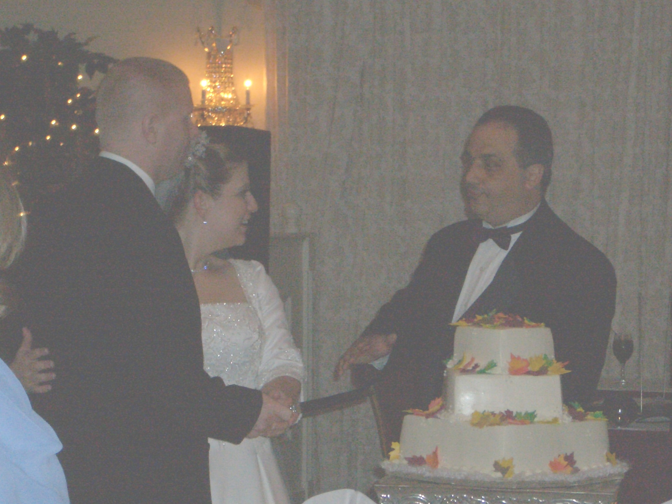 Cake Cutting