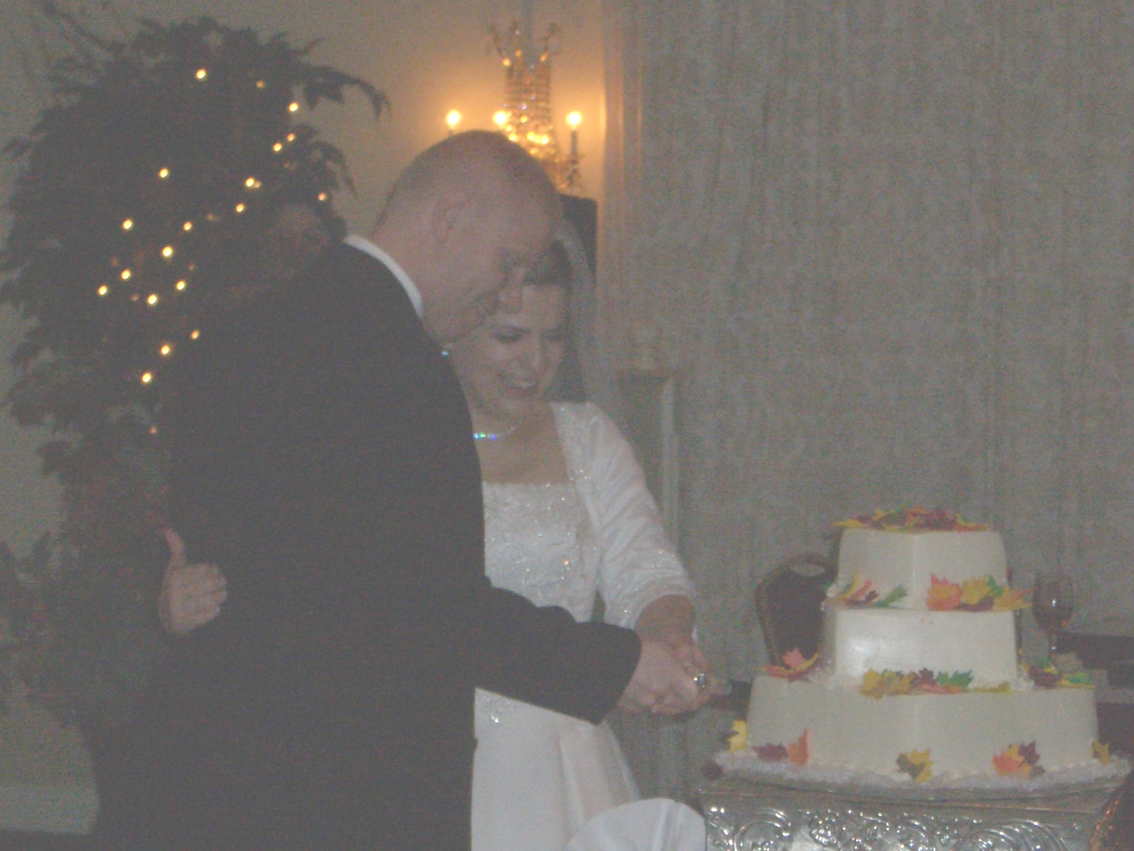 Cake Cutting